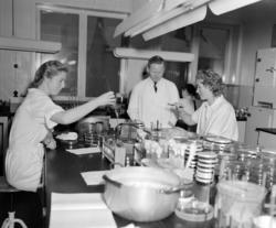 Statens Hoved laboratorium. Februar 1951