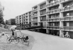 Smestad. "Silkestrå". 1984