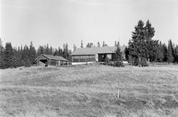 Nysetra, (?) Philske sameie, seterbruk på Hedmarken,