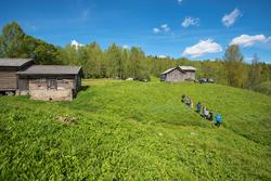 Skoleelever på Oppistun Børli, arrangement i regi av Kongsvi