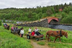 Fra "Fløttdagen" på Dølmotunet 2016, Tolga, Hedmark. Musea i