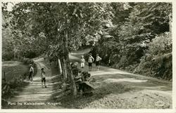 Parti fra Kalstadveien, Kragerø