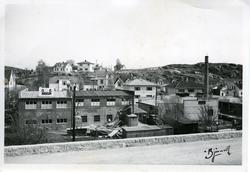 Dammyr

Dammyrfjellet, "Speiderfjellet"

Arela vatt og t