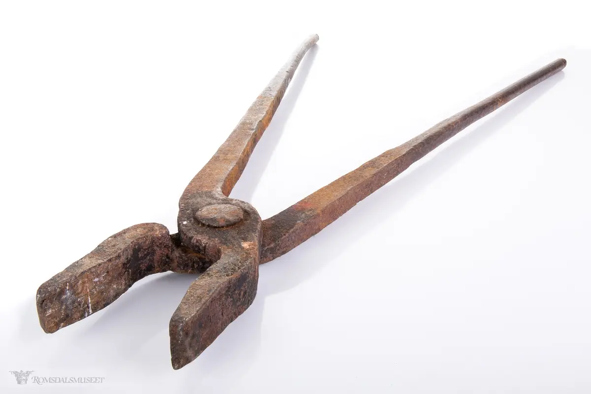 Ulik lengde og tykkelse på armer. Rund innerst i kjeften. Åpen spisset kjeft ytterst.