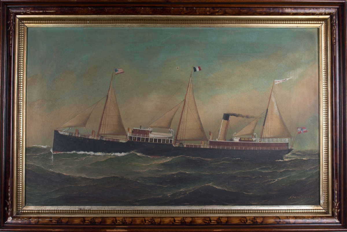 Skipsportrett av DS ALFRED DUMOIS under fart med seilføring. I åpen sjø med amerikanske flagg i formast, vimpel  med skipets navn i bakre mast samt unionsflagg akter.
