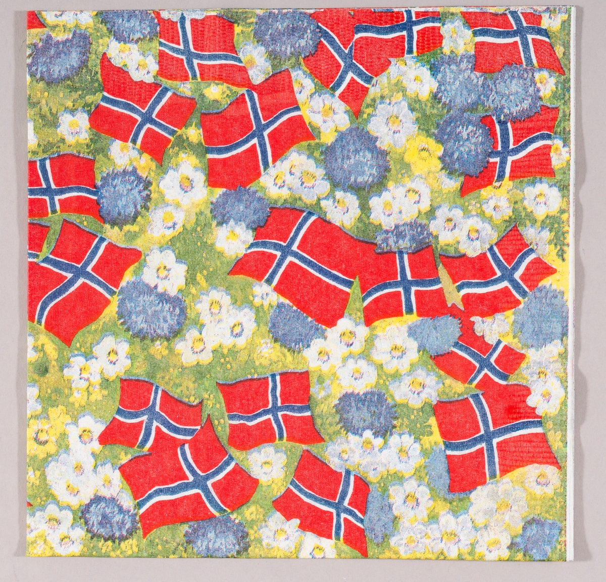 En blomstereng med hvite og blå blomster og norske flagg.