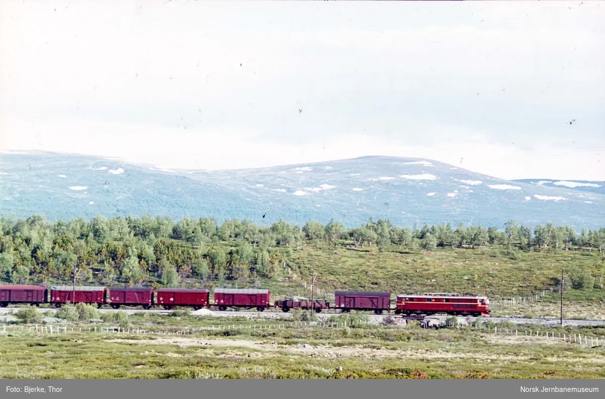 Nordgående godstog 5709 sør for Fokstua stasjon, trukket av elektrisk lokomotiv El 14