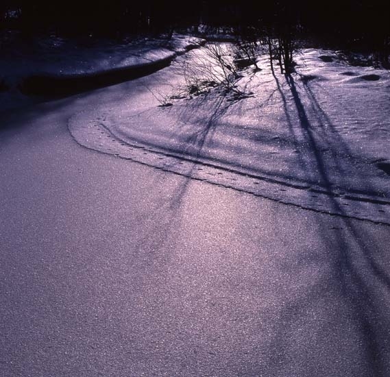 Rimfrostfall vid ån i motljus, 1 mars 1993.