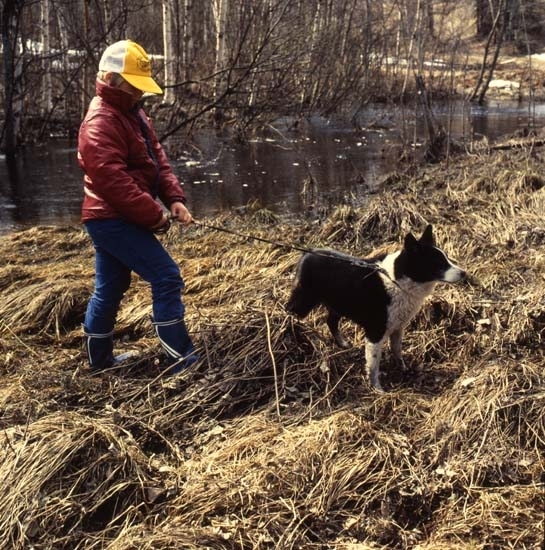 Anna och hunden Tanja vid ån, maj 1982.
