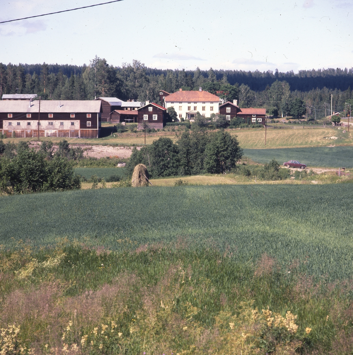Världsarvsgården Pallars omgiven av odlingsmark, Långhed, Alfta cirka 1980.