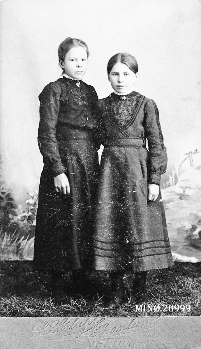 Portrett av to jenter, Thea og Anna Teigen