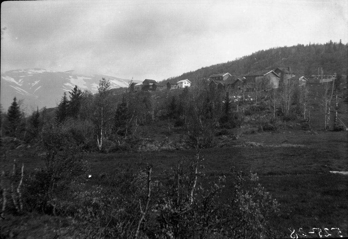 Rikard Berges fotoarkiv. Berge, Rauland. Fotografert 1925.