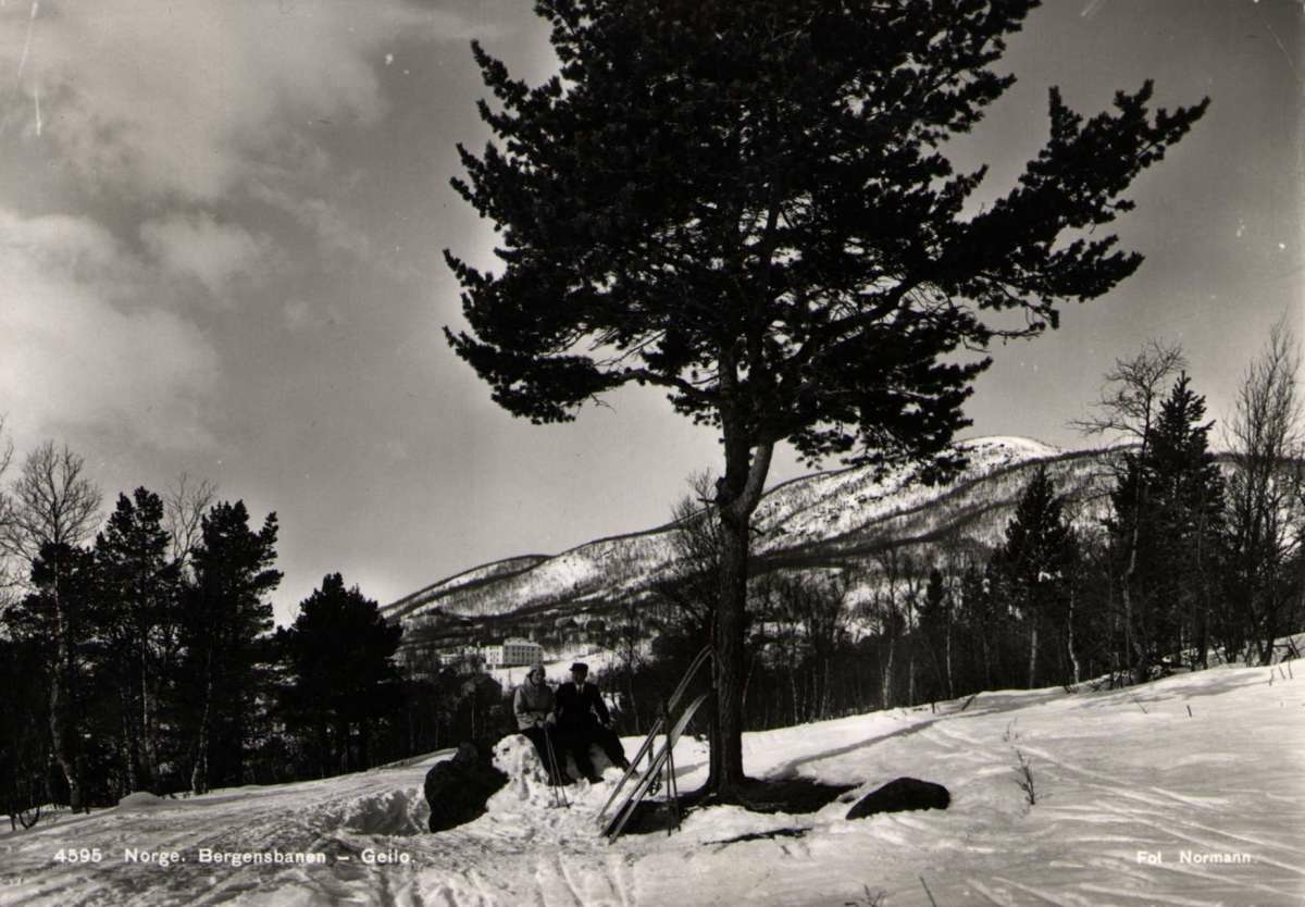 Postkort. Fotografisk motiv. Svart/hvitt. Vintermotiv. Fra Geilo. Fjell. Skog. Bebyggelse. Skiløpere. Stemplet 22.03.1946.