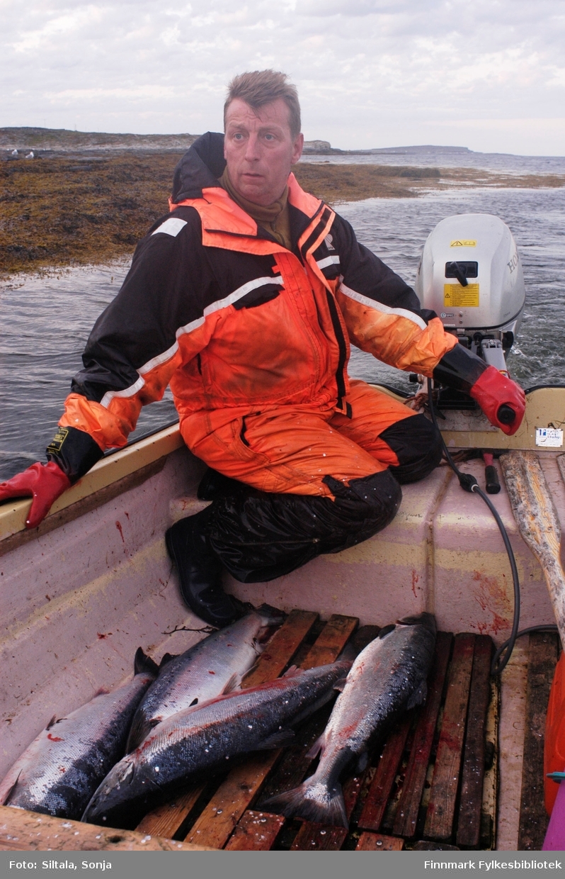 Sjølaksefisker Øystein Løfgren kjører inn med sin båt til en liten båthavn i Salttjern. Han har vært på havet seint på kvelden i juli 2009.