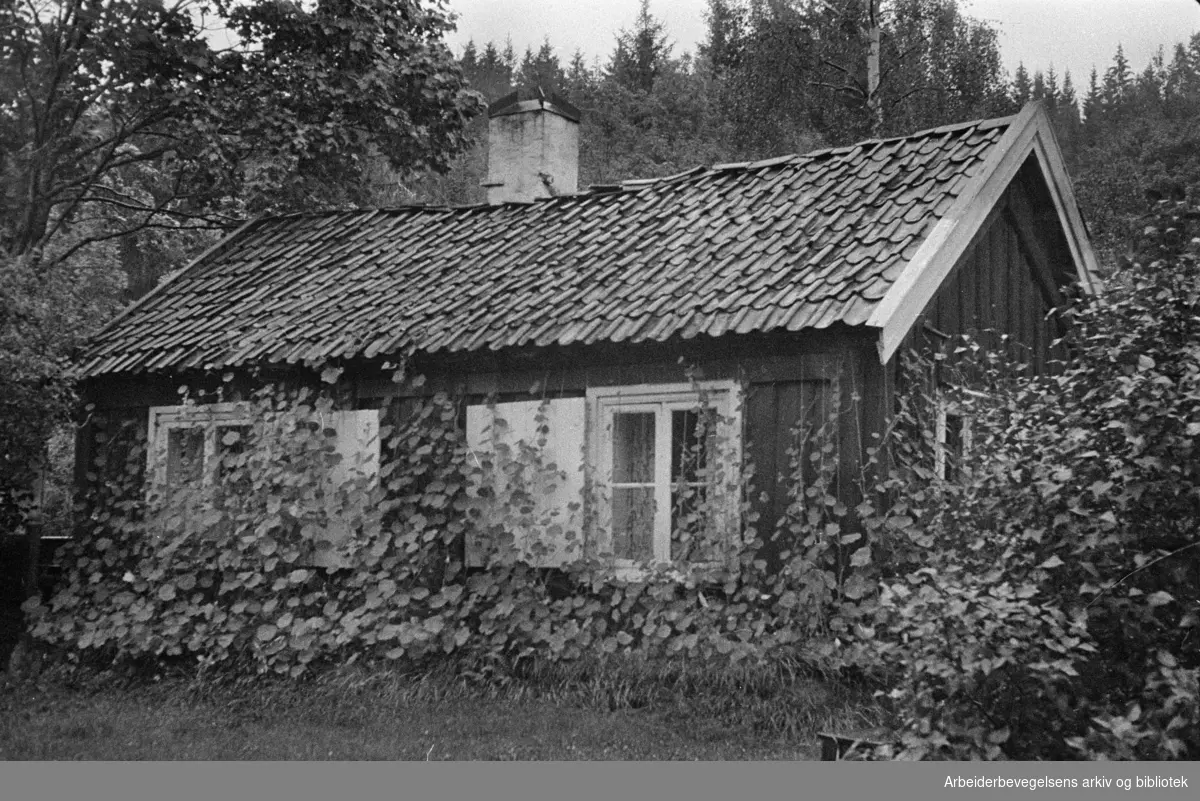 Maridalen: Bødkerstua som kreves revet. August 1958