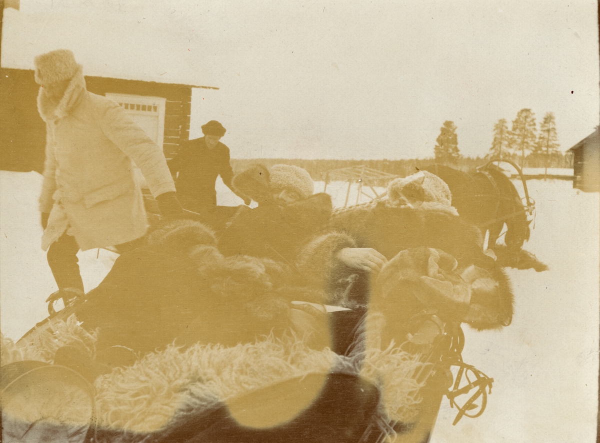 Officerare från Smålands husarregemente K 4 åker släde, vinterövning i Norrbotten omkring 1910.