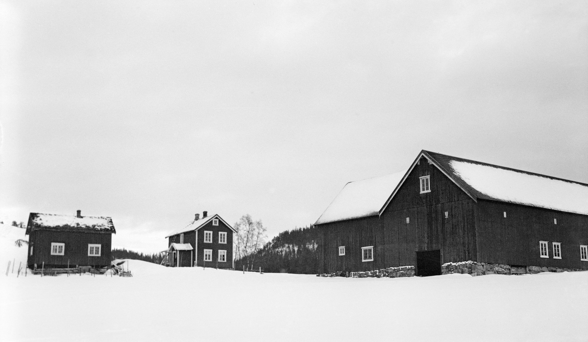 Bergsaunet gard i Klinga utenfor Namsos.  Garden tilhørte sagbruksfirmaet Van Severen & Co.  Fotografiet er tatt vinterstid fra et snødekt jorde og viser (fra venstre) et lite hus med ildsted (muligens eldhus eller drengestue), et våningshus og en driftsbygning.  I bakgrunnen skimtes en barskogkledd ås. 