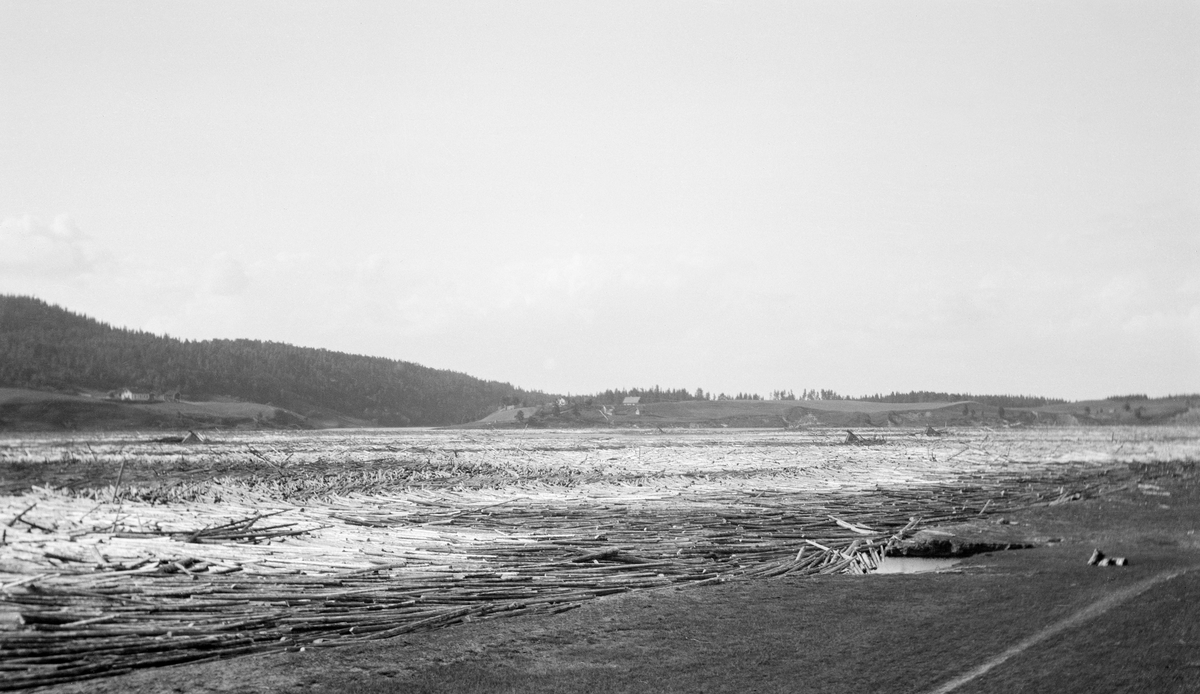 Store, sammenvasete tømmermengder i Glomma ved Bingen i Sørum i Akershus.  Fotografiet er muligens tatt i 1916, i et område der elva vider seg ut nedenfor Bingsfossen.  Dette er antakelig det området der Bingen lense lå før jernbanen kom og lensestedet ble flyttet området ved jernbanebrua i Fetsund, litt lengre sør.  I bakgrunnen ses en skogkledd ås med litt bakkete jordbrukslandskap nederst mot vassdraget. Fløting av tømmer.