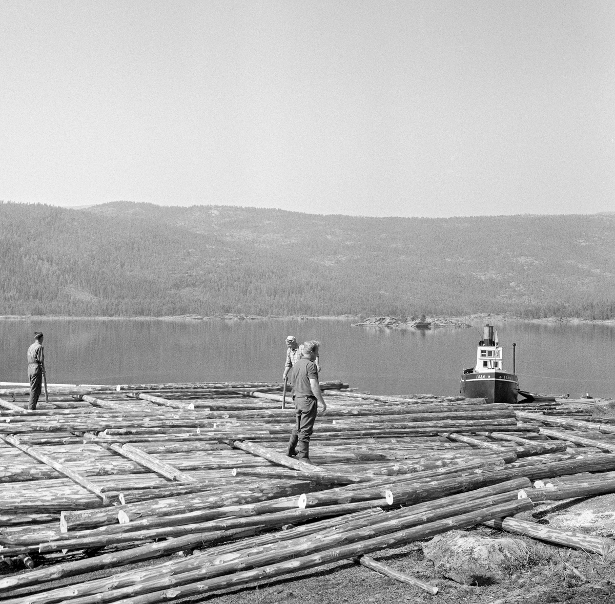 Tømmervelte ved innsjøen Nisser i Kviteseid i Telemark, fotografert våren 1970.  Nisser er den niende største innsjøen i Norge, og den største i Telemark.  Da bildet er tatt ser det ut til at man hadde begynt med utislag av tømmer, som var lagt flovis på strøstokker, slik at virket lett kunne rulles ut i innsjøen når tida var inne for å starte fløtingssesongen.  I strandsonen ser vi slepebåten M/S Fram, som ble bygd i 1909 for buksering av tømmer på Nisser og Vråvatn.  De lengste slepene gikk fra Treungen til Vråliosen, en strekning på cirka 65 kilometer.  M/S Fram fungerte som slepebåt for Nidarå Fellesfløtningsforening inntil fløtinga opphørte etter 1970-sesongen.  Deretter ble fartøyet liggende å forfalle, inntil det i 1986 fikk nye eiere, som restaurerte M/S Fram med sikte på en ny bruk som passasjerbåt med kapasitet til å ta med inntil 90 passasjerer på sightseeing på innsjøene der båten en gang bukserte tømmer.