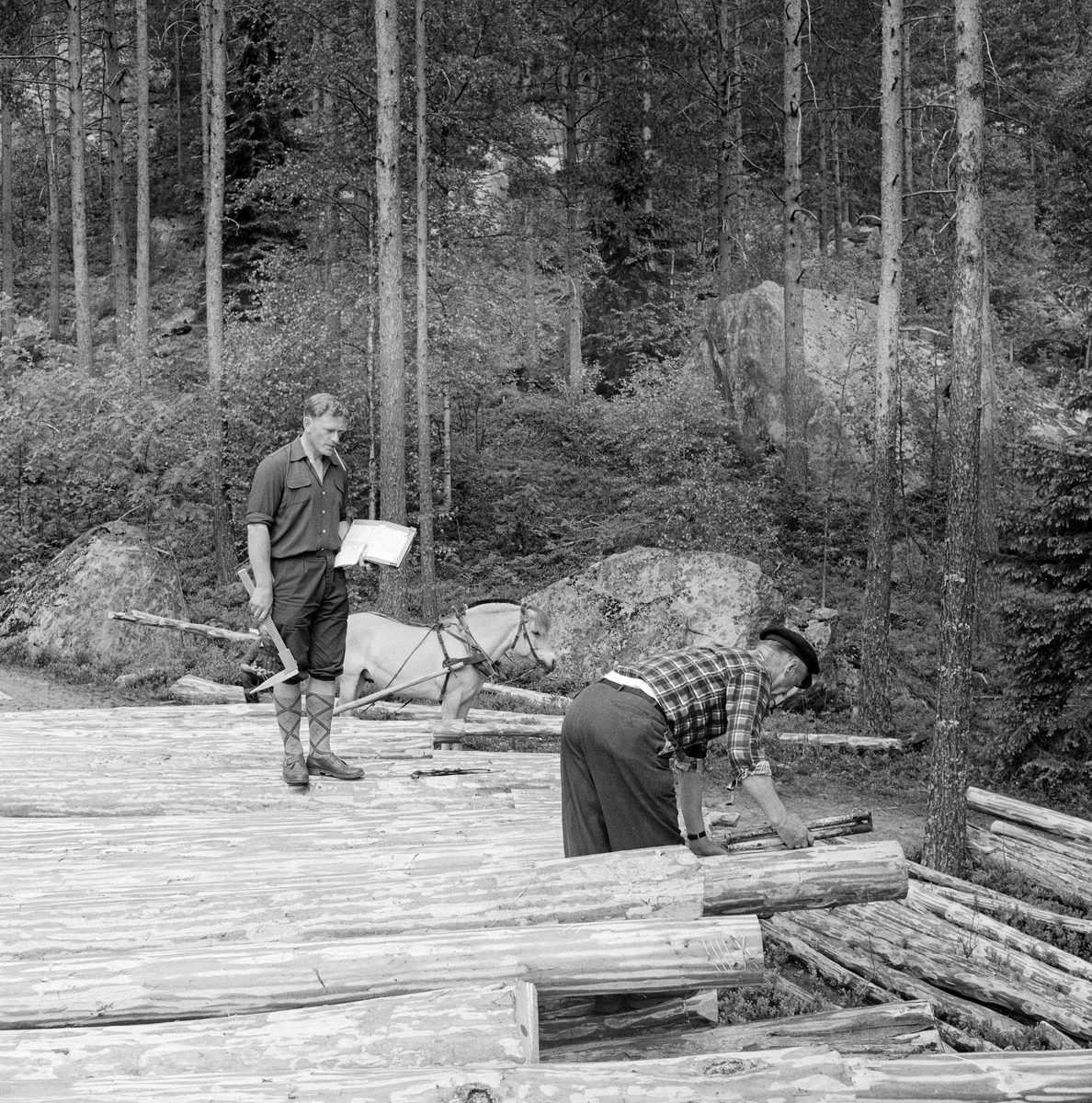 Tømmermåling ved Nidelva i Åmli i Aust-Agder våren 1970.  Her måles barket tømmer på ei strøvelte på et sted der det høvde godt å foreta utislag i vassdraget.  Til høyre ser vi en mann som sto bøyd over en stokkende, muligens for å merke stokken.  Til venstre ser vi tømmermåler Gjermund Homdrom (1928-1995) fra Åmli, som arbeidet for Nidarå tømmermåling.  Han sto på den øverste tømmerfloa med stikkboka i høyre hånd, en skyveklave i venstre hånd og en blyant i munnen.  Bak Homdrom ser vi en hest, en fjording, som ble brukt til å kjøre tømmer fram til velteplassen.  I terrenget i bakgrunnen ser vi furudominert skog på blokkrik mark.