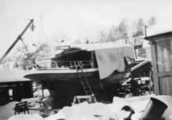 Slepebåten «Axel», som tilhørte Skiensvassdragets Fellesfløt