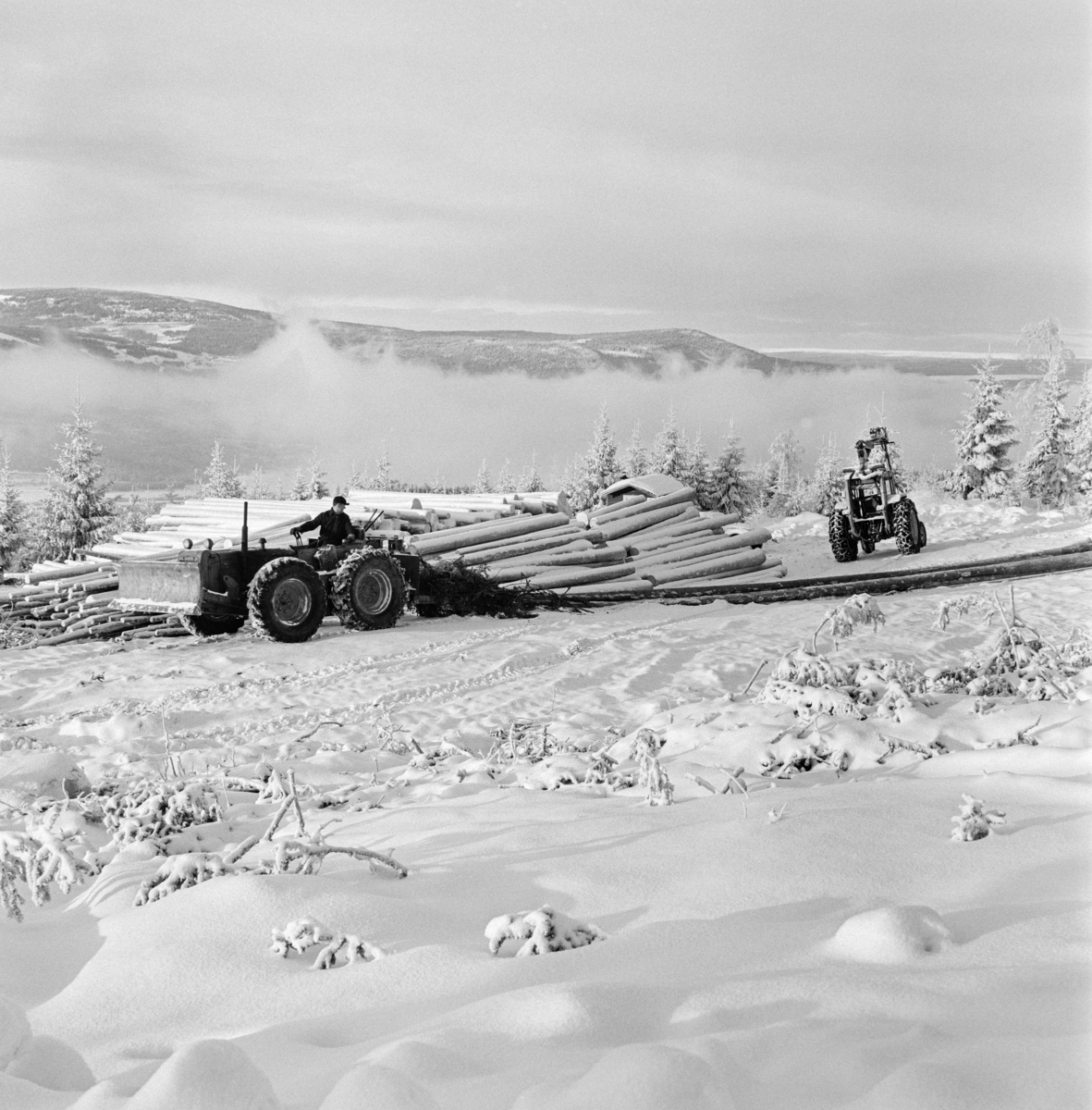 Tømmerkjøring med traktorer ovenfor Innsetsetra i Strandbygda i Elverum kommune i Hedmark vinteren 1969.  Fotografiet er tatt oppe i ei li en kald vinterdag.  Vi ser hvordan tåka ligger over dalbotnen nedenfor.  I forgrunnen arbeides det med to traktorer ved en velteplass.  Bak tømmeret skimter vi taket på ei kvilebrakke.  Ifølge nåværende eier av den skogen der fotografiet er tatt ble tømmeret lunnet med en 1958-modell Fordson major super county som var påmontert en totromlet Isachsen-vinsj.  Den andre traktoren er antakelig en 1969-modell Ferguson 178 med griplaster fra produsenten Vendelbjørn. Bruk av traktorer til framkjøring av tømmer fra hogstfeltene i skogen til velteplasser ved bilveg der det kunne hentes og transporteres videre på lastebiler ble raskt vanlig i 1950- og 60-åra. Etter hvert ble det også gjort forsøk med lunning av helstammer - altså tømmer som ikke var "aptert".  Innføringa av slike driftsprinsipper var nært knyttet til den rammestyrte traktorteknologien.  Den første rammestyrte skogstraktoren for stammelunning ble hentet til Norge i 1962 i et samerbeid mellom Skogforsøksvesenet og Meraker Brug.  Vinteren 1969 fantes det 233 slike maskiner i Norge, flest i de store skogfylkene med Hedmark og Telemark i spissen.  En noe velvillig kalkyle antydet at disse rammestyrte traktorene vinteren 1969 tok unna bortimot 20 prosent av lunningskvantumet.  En aktør i det skogteknologiske forskingsmiljøet tilskrev stammelunneren og motorsaga hovedæren for at tariffutviklinga i skogbruket hadde tatt ei - for skogeierne - gunstig vending.  Traktorer med tømmertilhenger og griplasterkran ble lansert som en nyhet i slutten av 1960-åra.  Da hadde den svenske produsenten HIAB lansert sin "skogselefant".  Her til lands var skogteknologene skeptiske til denne maskintypen.  Med den norske eiendomsstrukturen og i norsk terreng var det helstammelunnerne som var framtidsrettet, hevdet de.  Mjøsen, Glommen og Nedre Glommen skogeierforeninger satte likevel i gang forsøk med det de kalte «kombinasjonsmaskiner» - traktorer med griplastere og boggidoninger.  Etter hvert var det denne teknologien som vant fram.  Skogteknologene kalte dem for «lastetraktorer», mens maskinforhandlerne brukte betegnelsen «lassbærer», for å tydeliggjøre at det tømmeret man fikk fram ikke ville være sølete og tilgriset, slik stammelunnet virke kunne være, i hvert fall i sommerhalvåret.  Traktoren til høyre på dette fotografiet hadde kran med gripeklo, men ikke boggitilhenger av den typen som de svenske produsentene leverte.