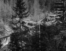 Dårstuldammen i Håvsmarka i Lisleherad i Telemark, fotografe