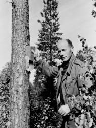 Gardbruker Martinius Sandbæk (1924-2002) på jord- og skogeie