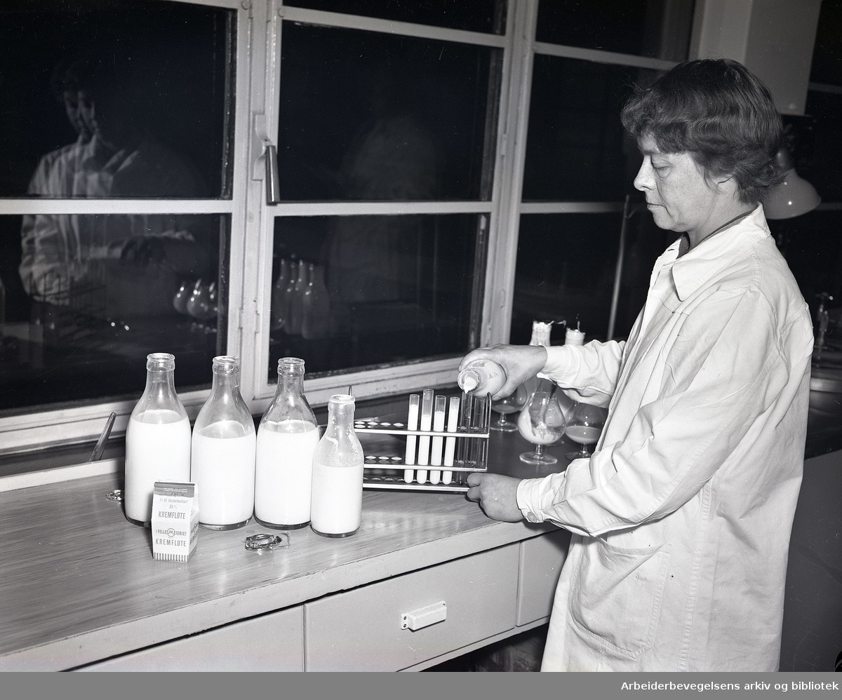 Lukt og smaksprøver på laboratoriet hos Fellesmeieriet, 12. januar 1957.
