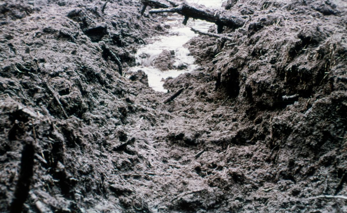 Nysprengt grøftetrasé på myr som skulle dreneres med sikte på å forvandle den vasstrukne, oksygenfattige myrtorva til produktiv skoggrunn.  Når grøftinga ble utført med dynamitt som hjelpemiddel ble patronene plassert i rekker med kort innbyrdes avstand.  Når den første av dem ble detonert ved hjelp av lunte og fenghette fikk trykket (detonasjonsstøtet) også de omkringstående patronene til å sprenges.  Dermed ble mye av torva kastet til sides, og var det ikke for mye trerester eller stein i torvmassen, kunne resultatet bli som på dette fotografiet.  Dermed var grøftetraseen klar for opprensking ved hjelp med hakker, greip og spader som redskap.  Grøftesprenginga fungerte best i vannmettet, godt omvandlet torv.  

Dette er det sjette motivet i en bildeserie med tittelen «Skogreising på myr», produsert av Landbrukets film- og billedkontor i 1964.  Formålet med disse bildene var å stimulere til drenering av myrarealer med sikte på å forvandle dem til produktiv skogsmark.  I tekstheftet som fulgte med bildeserien skrev eksperten Ole Jerven følgende tekst til dette motivet:

«Vellykket sprengning
Betingelsen for at utkast av massen skal bli tilfredsstillende er at torvlaget over fast undergrunn ikke er over 1 meter tykt.  Dårlig utkast av massen kan ha flere årsaker: I dype, dårlig formuldede torvlag vil ikke eksplosjonen møte noen motstand nedover (finner ikke spenntak) og utkastet blir dårlig.  Seig overflatetorv, ferske trestubber og trerester i myra kan hemme utkastet i vesentlig grad.»