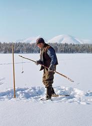 Osvald Kolbu fanger lake med fiskesaks fra den snødekte isen