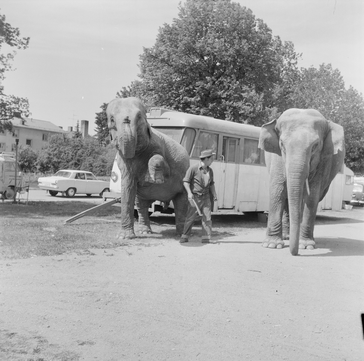 Cirkus Ray Miller i Tierp, Uppland, juli 1971