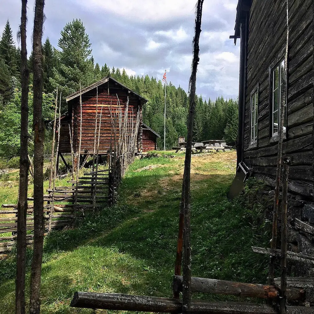 Gamle lafta hus og skigard