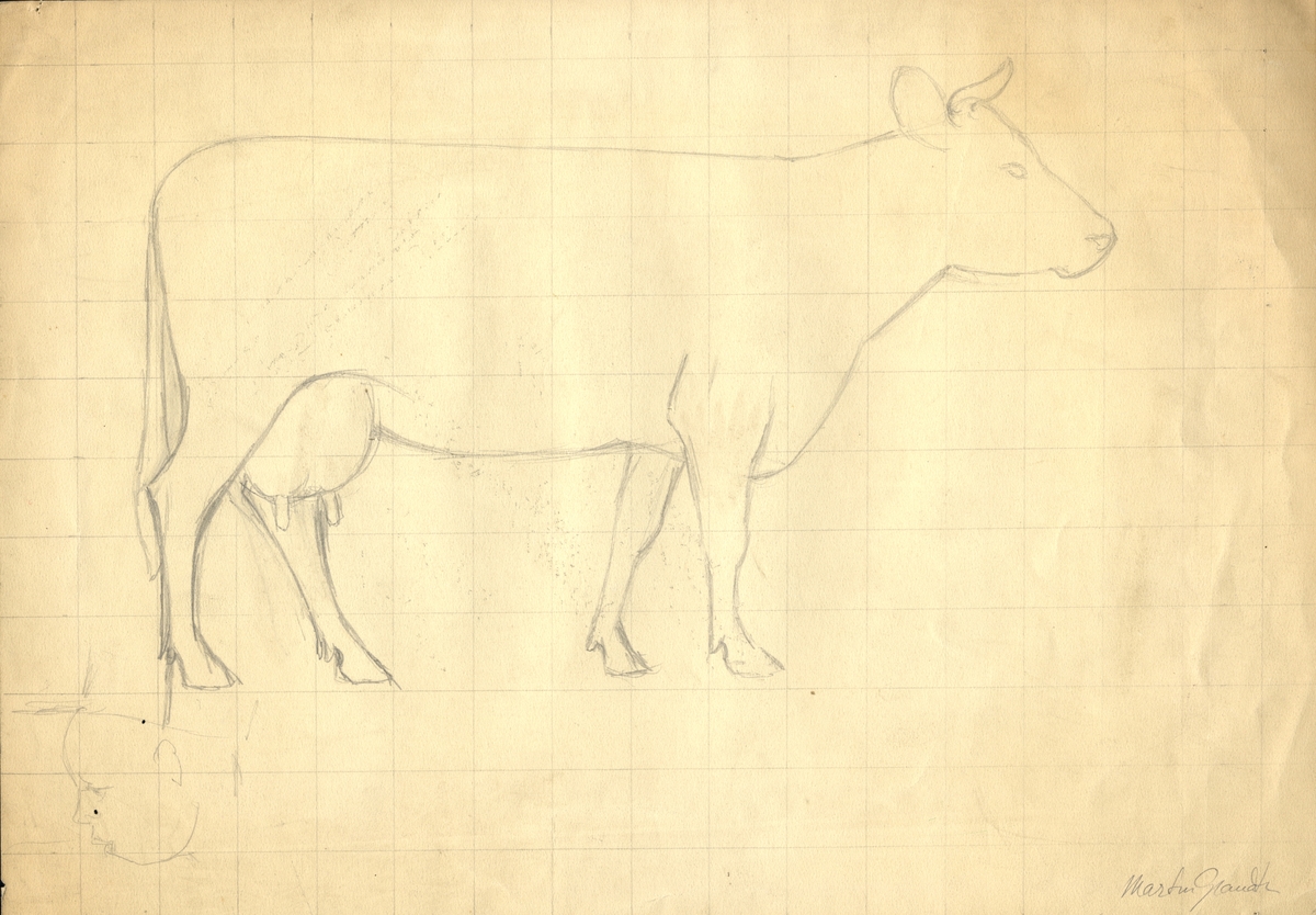 Blyertsteckning på rutat papper. 
Föreställer en ko, tecknad från sidan.