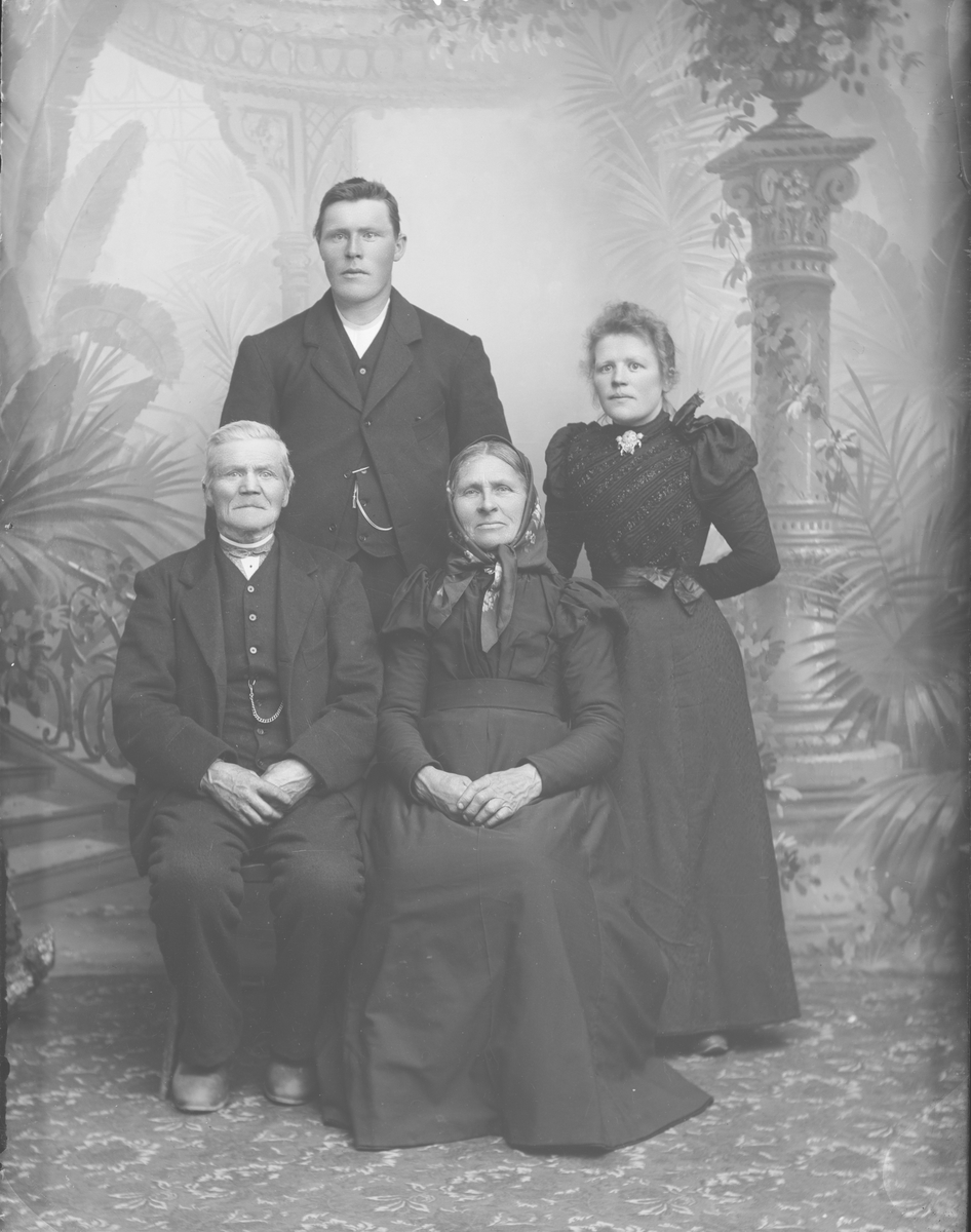 Familiebilde, foran fra venstre Torger A. Haugen, Kari Olsdatter Haugen. Bak fra venstre Ole Torgersen Haugen og Oline Torgersdatter Haugen