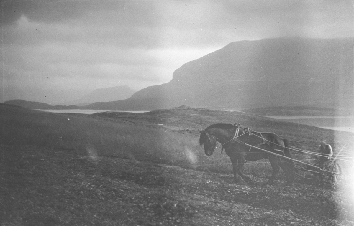 Ved Bessheim og Øvre Sjodalsvatnet, mann med hest arbeider på jordet.