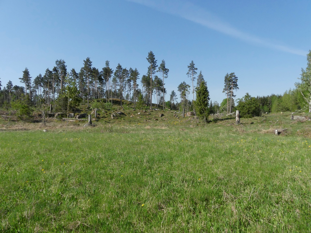 Kartering och dokumentation, översikt över gravfält 176:1, Trevlinge, Rasbo socken, Uppland 2018