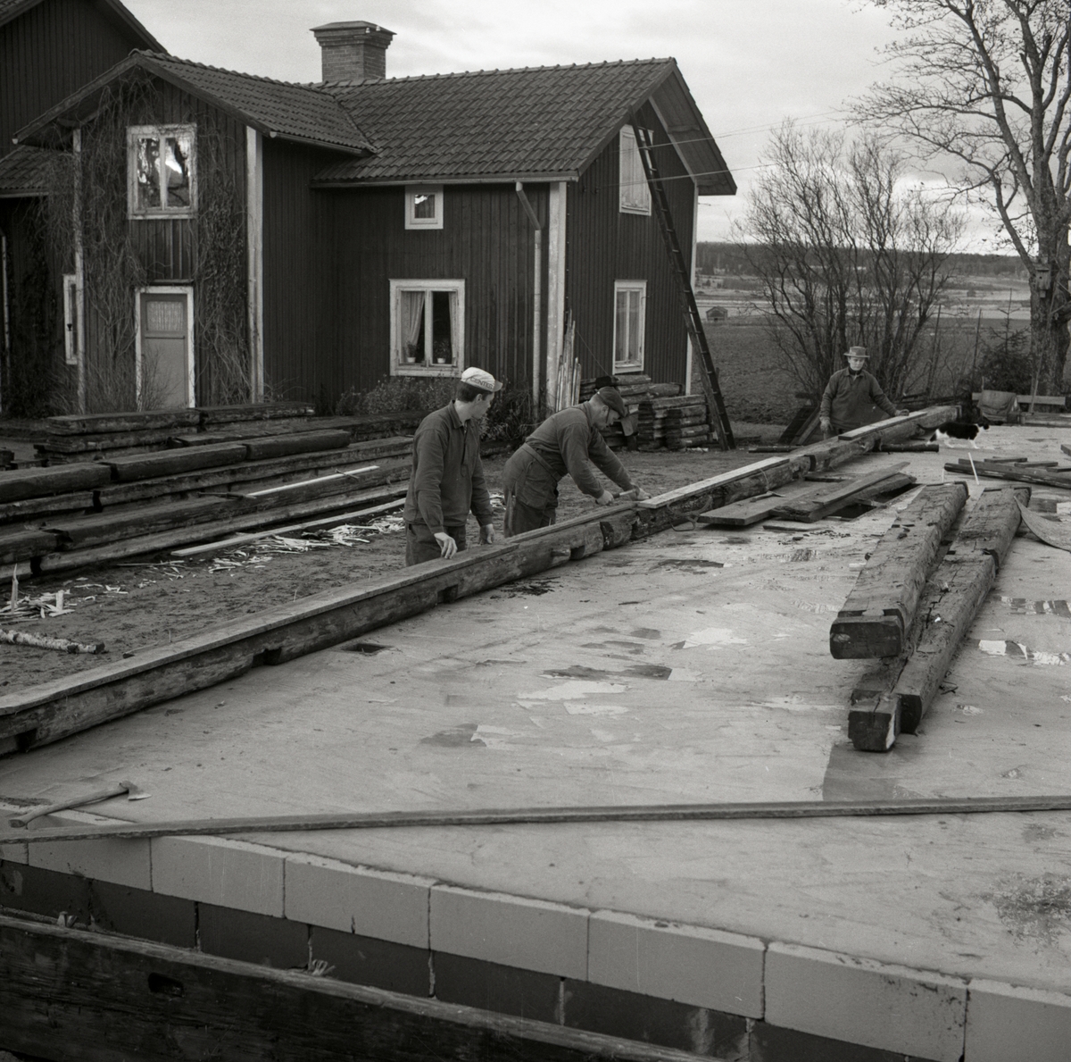 Ett bostadshus av timmer monteras vid gården Sunnanåker, 1967.