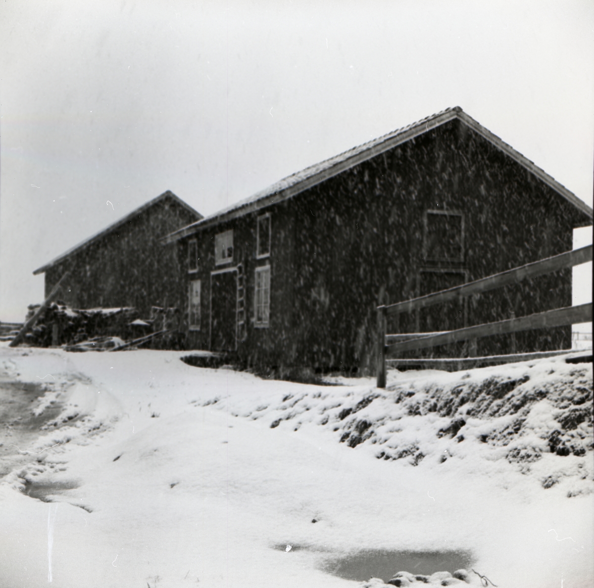 Snöfall vid två byggnader, varav den ena är ett slakteri, i december 1955.