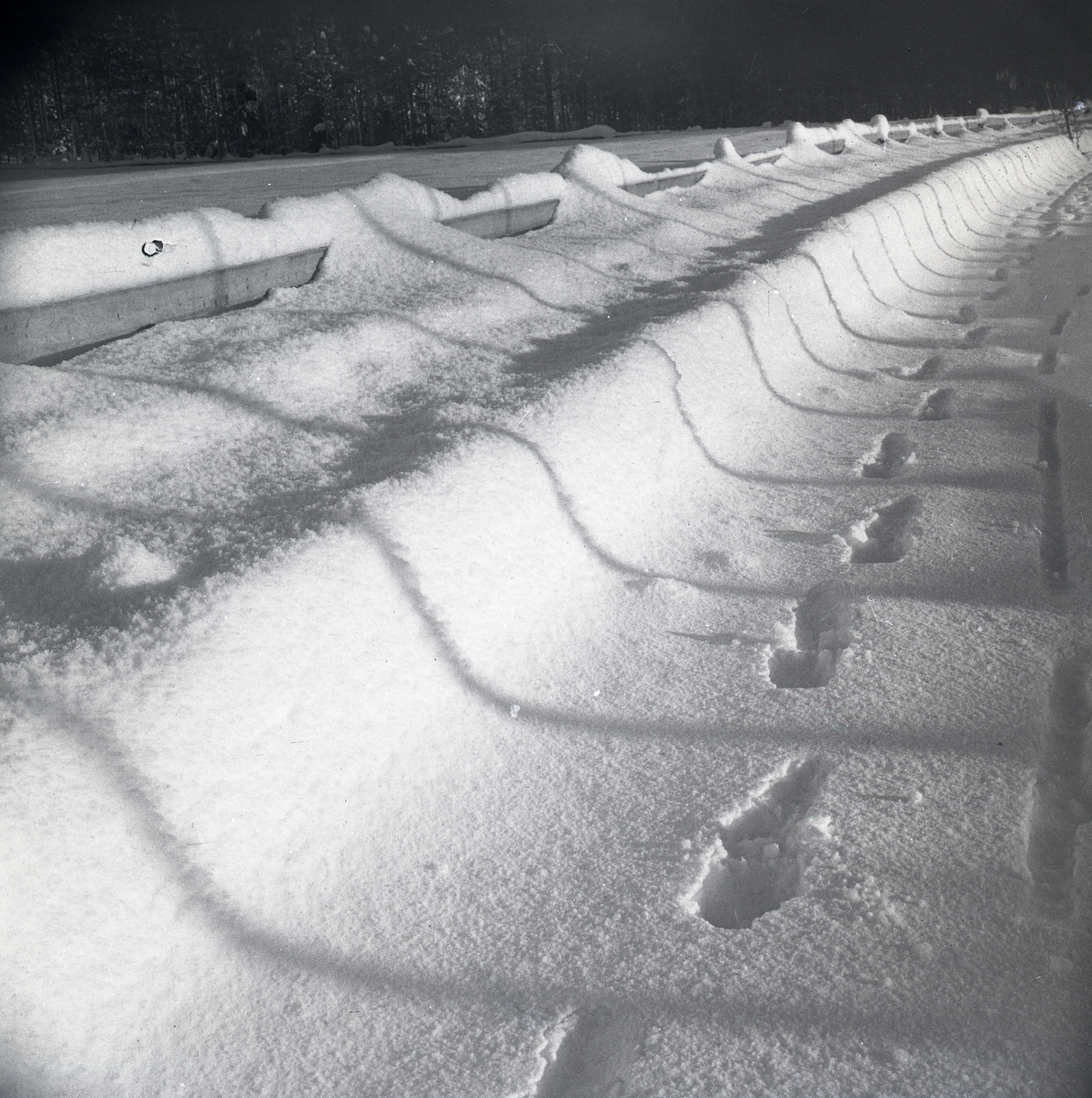 Översnöad väg med vägräcke. Det bildas skuggor av gärdesgårdsstörar på snön. Man ser även fotspår, januari 1948.