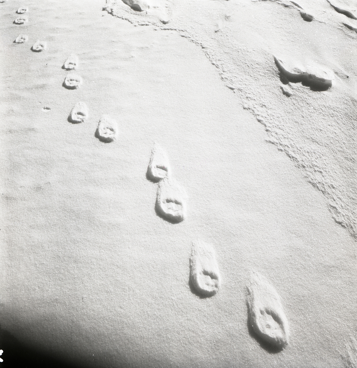 Rävspår i snön intill en å, 1951.