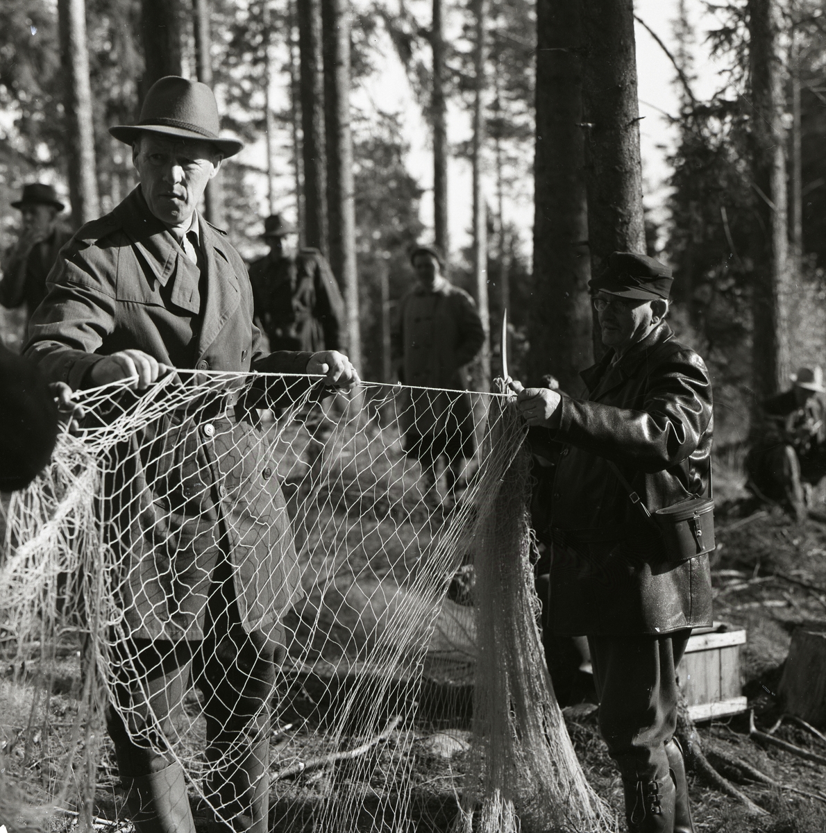 Två män håller upp ett nät vid harfångsten på Storön, 6 oktober 1957.