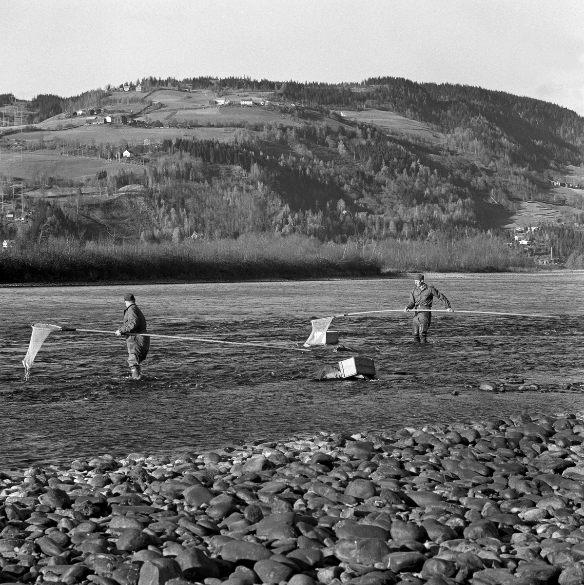 Grunnhåvfiske etter lågåsild (Coregonus albula) ved Øyra i Fåberg, altså i den nedre delen av Gudbrandsdalslågen.  Fotografiet ble tatt i 1962.  Det viser to fiskere i aksjon med grunnhåver og trekasser, som ble brukt til midlertidig oppbevaring av fangsten.  Grunnhåven er et enmannsredskap, beregnet på fangst av lågåsild fra elvebredden.  Den besto av et treskaft - ei «raun» - som kunne være fire til seks meter lang, og et «håvhuggu» med en finmasket fangtspose av bomullsgarn.  Håvhugguet var ovalt.  Håven ble ført ned i vannet på motstrøms side og ført med vannmassene langs botnen, litt hurtigere enn strømhastigheten, slik at fangstposen sto utspent på oversida av håvhugguet.  Når håven var kommet så langt nedover at fiskeren ikke nådde lengre, vred han rauna, så åpningen til «påsa'n» vendte oppover, slik at eventuell fangst ikke fikk sjansen til å unnslippe.  Var det lågåsild i håven, holdt fiskeren håvhugguet over en snik eller ei bøtte samtidig som han løftet ytterenden av fangsposen opp i lufta, slik at fisken falt ned i transportbeholderen.