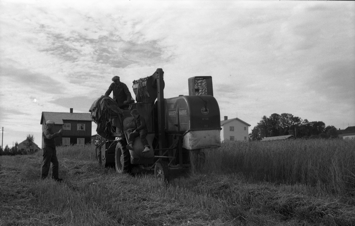 Kåre Fodstad kjører skurtresker i Rossvang på Kraby, september 1953. De andre personene er ikke identifisert. Åtte bilder.