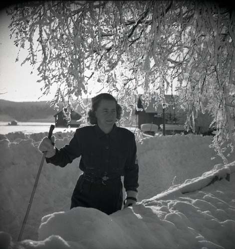 En kvinna står under några snötäckta björkgrenar och håller en stav i ena handen, 1948.