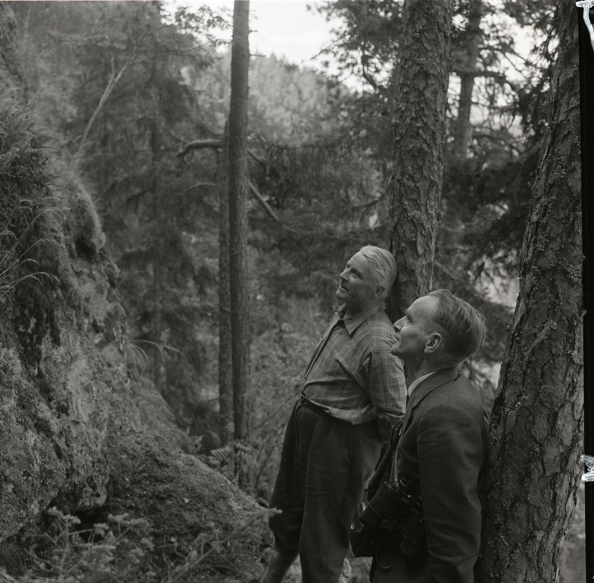 Två män står vid botten av ett stup på Bolleberget i Bollnäs 6 juli 1957.