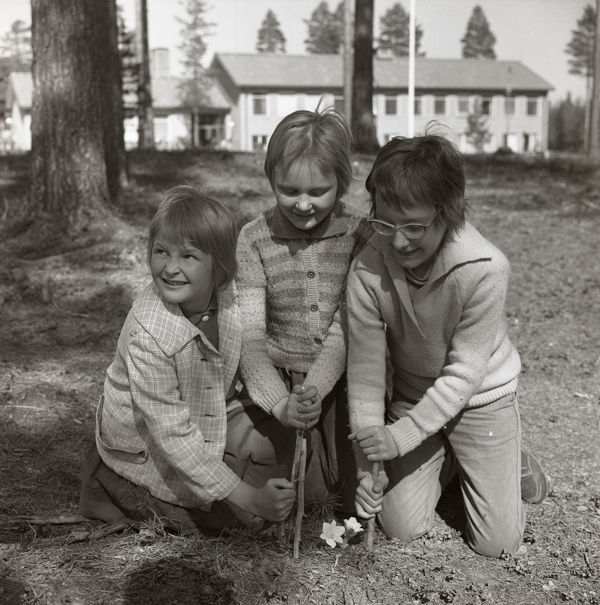 Tre barn sitter på marken intill en mosippa vid skolan i Hennan, våren 1961.
