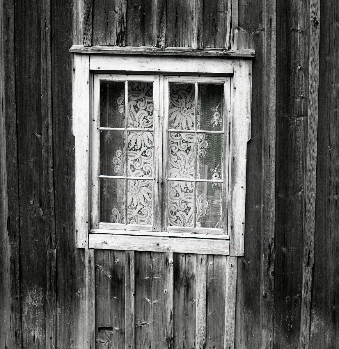 Bakom glasrutorna i ett fönster sitter en spetsgardin, Tannåsen september 1977.