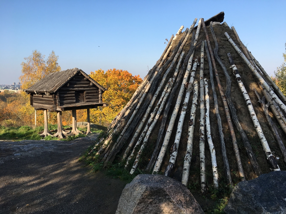 Saemien sijte på Skansen gestaltar en nutida sydsamisk miljö. Sitan består av fyra byggnader; torvkåtan, stolpboden, timmerkåtan samt njallan. Byggnaderna har uppförts på eller flyttats till Skansen under 1900-talet samt 2000-talets första årtionde. De två kåtorna samt stolpboden stammar från Jämtland, njallan från Norrbotten.