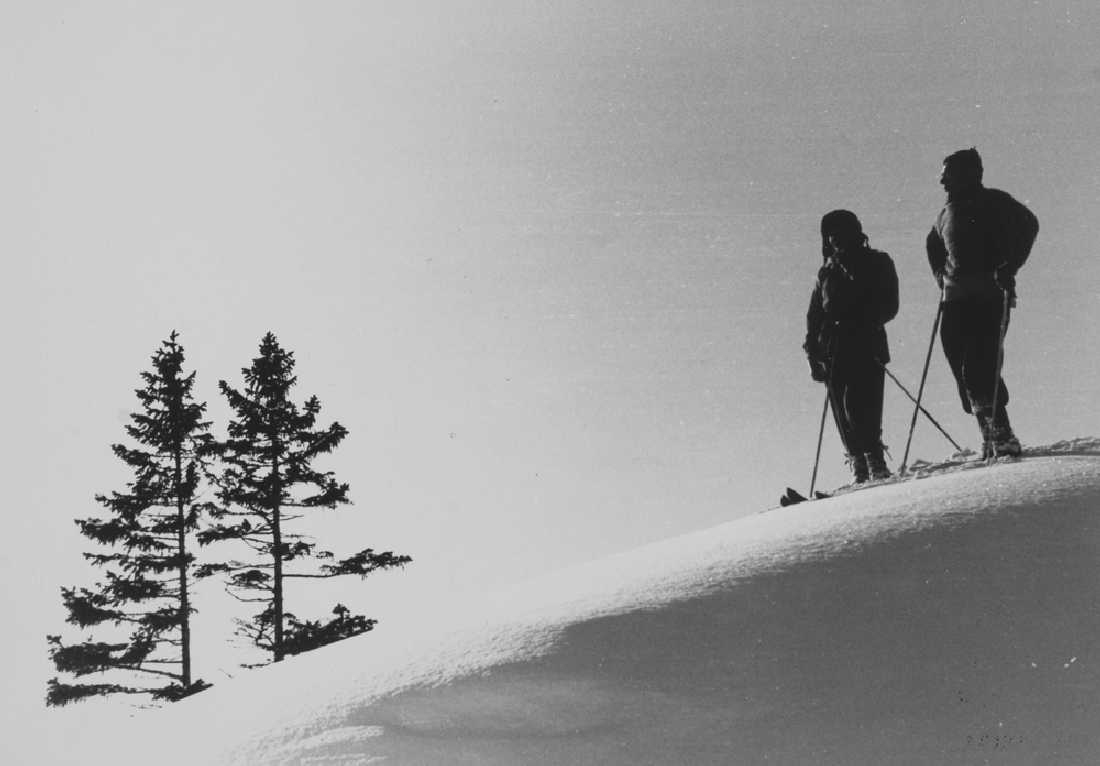 Leirfjord, Simsødalen. Skitur.